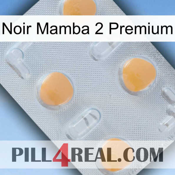Black Mamba 2 Premium 24